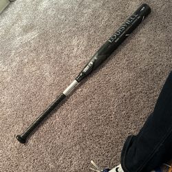 Softball Bat