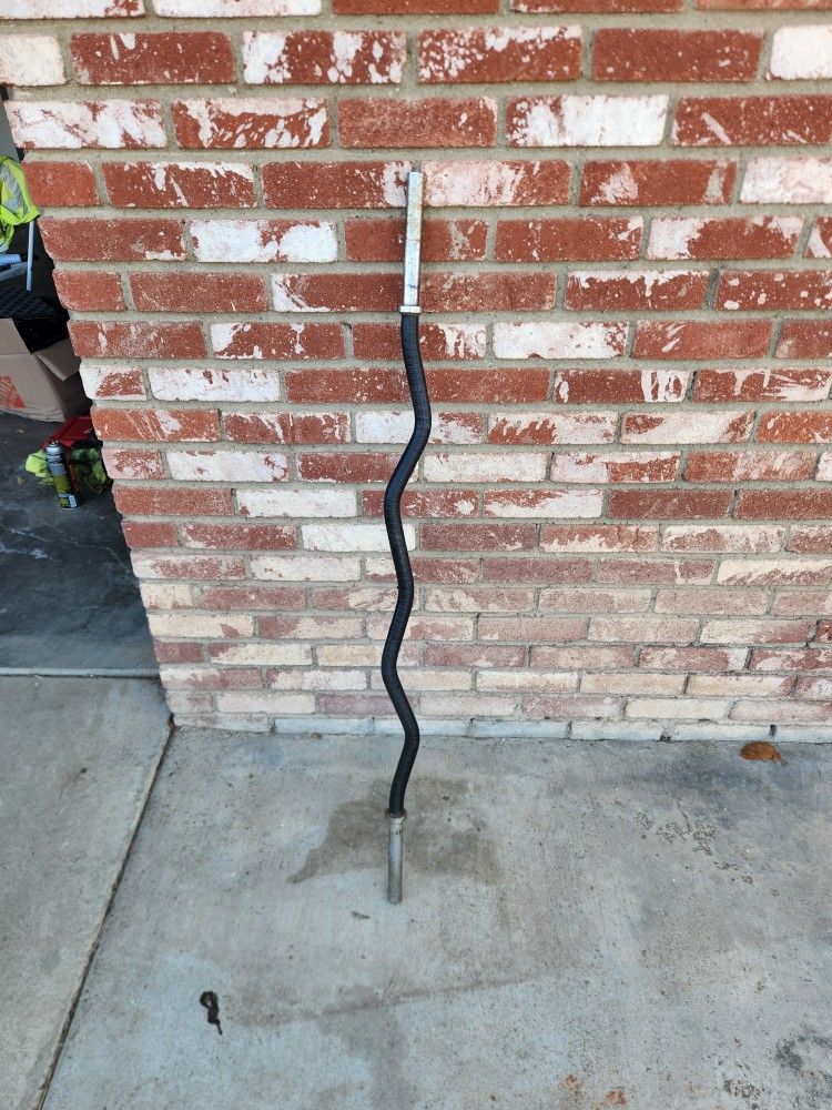 Curl Bar