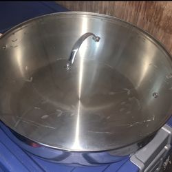 Princess House Stainless Steel Classic 16-Qt 