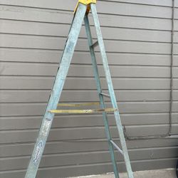 Werner 8’ Ladder 