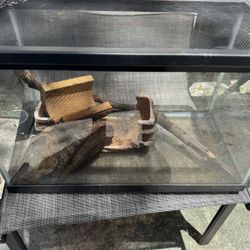 10 Gallon Tank 