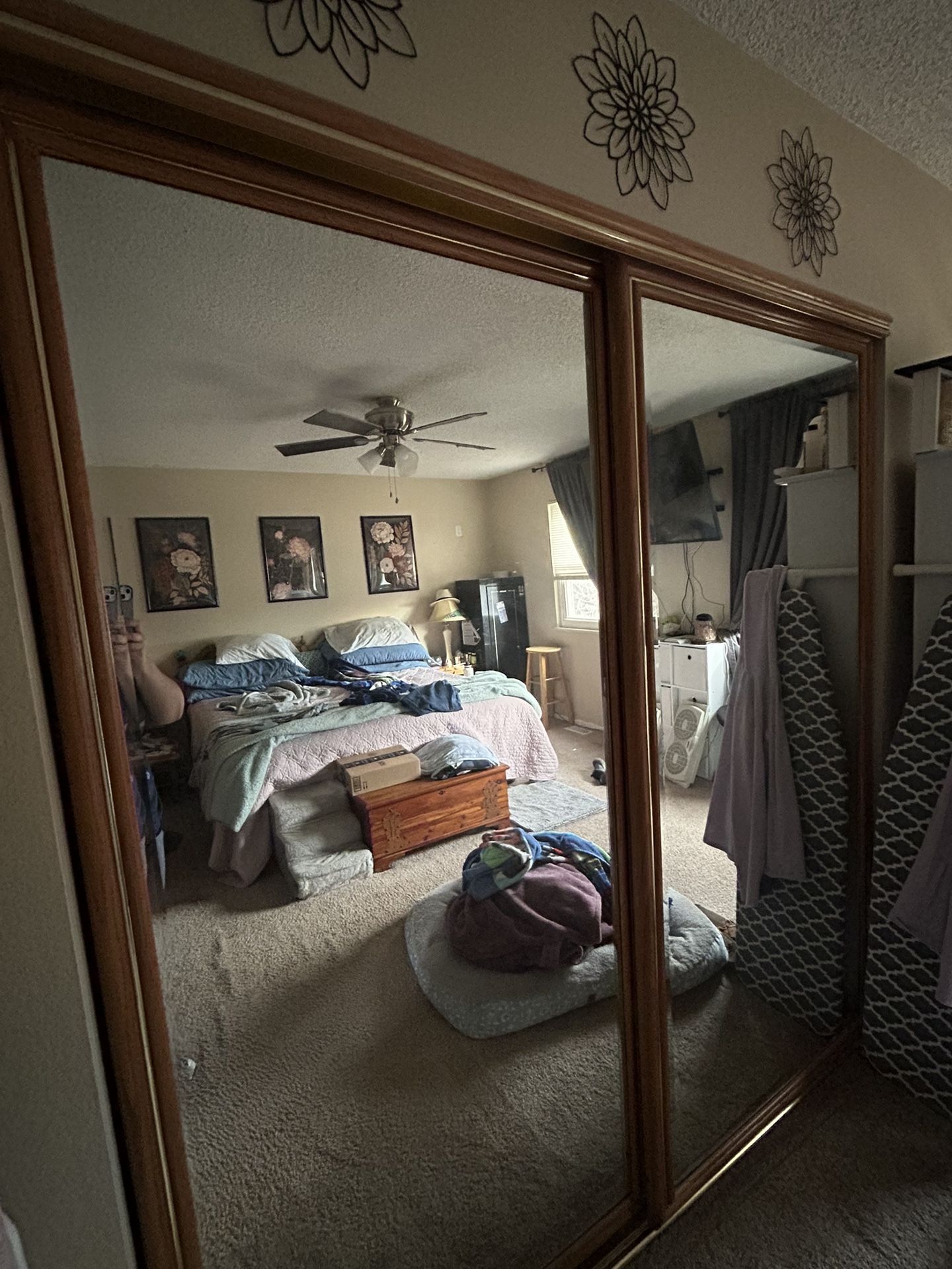 Mirrored Closet Doors