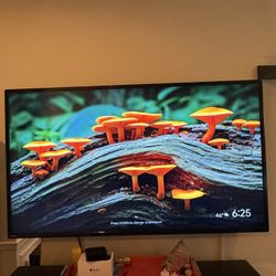 55’ 4K Smart Google tv 