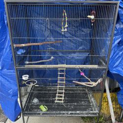 Cage Birds