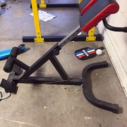 Back Extension Bench 