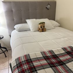 Queen Size Bed 