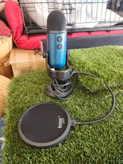 Microphone and Flat Screen TV