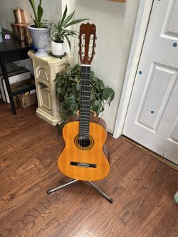 Starcaster Fender And Palmer Guitars