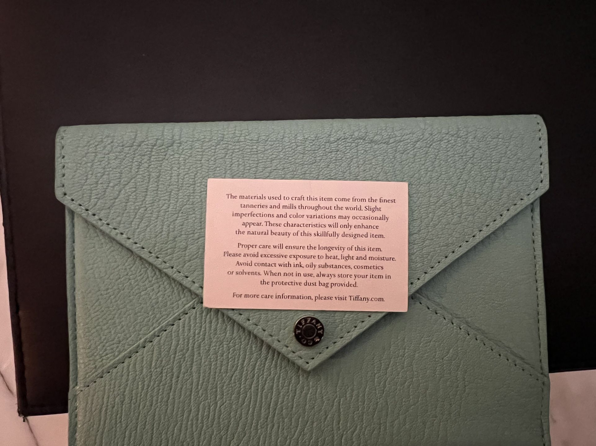 TIFFANY & CO . Mint Leather Envelope Clutch With Cover $50