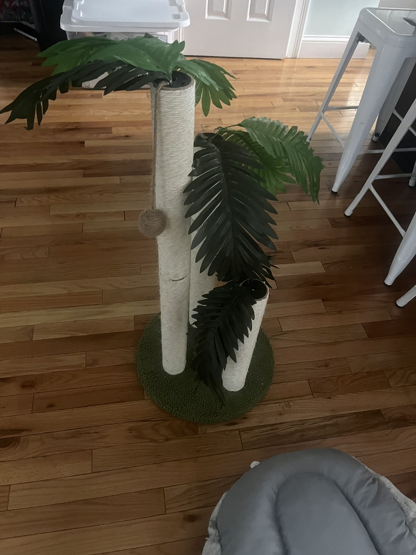 Cat Scratch Post