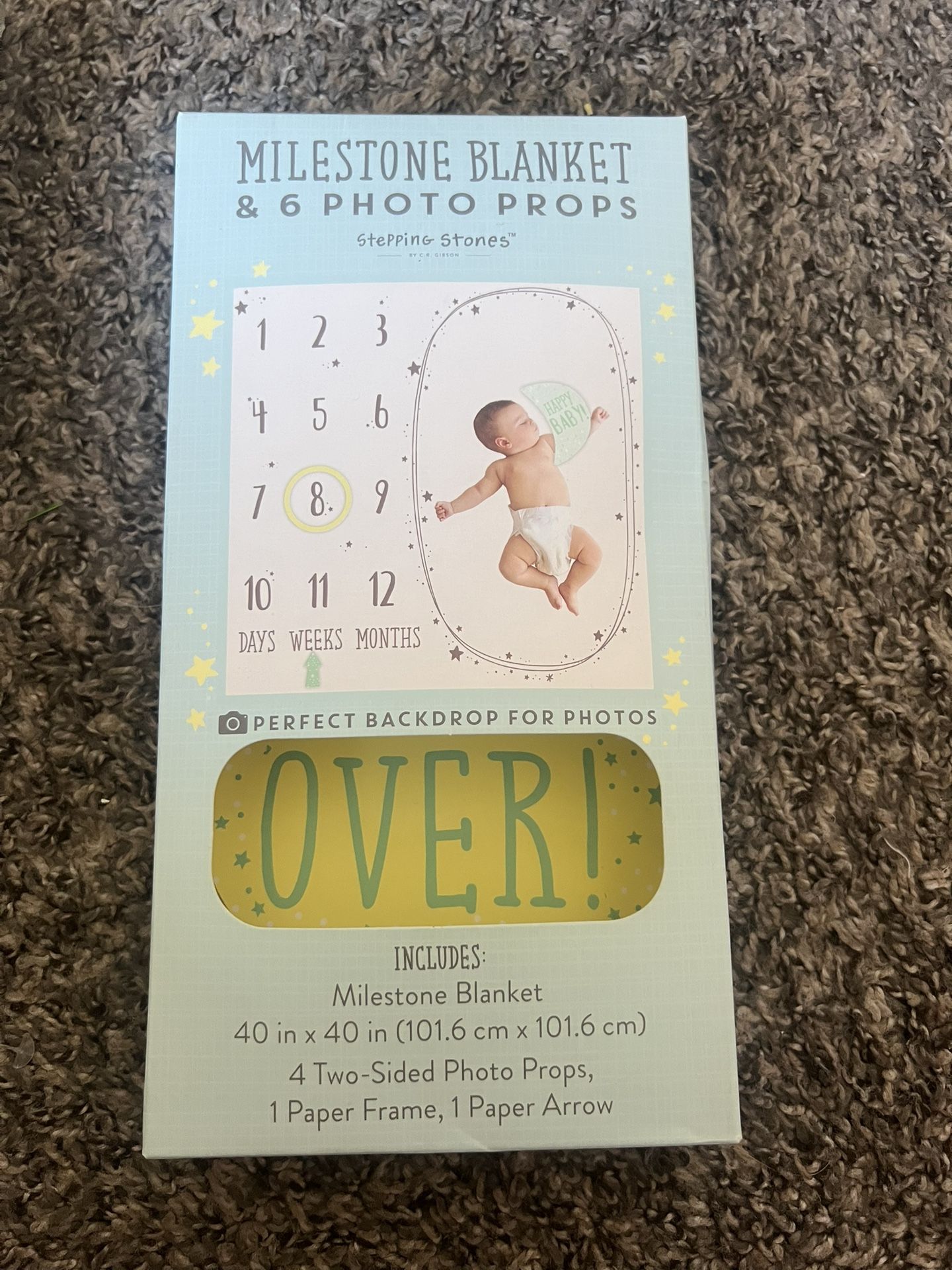 Baby Milestone Blanket