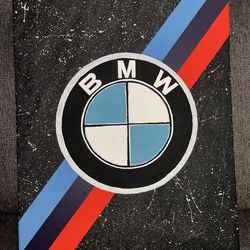 BMW painting