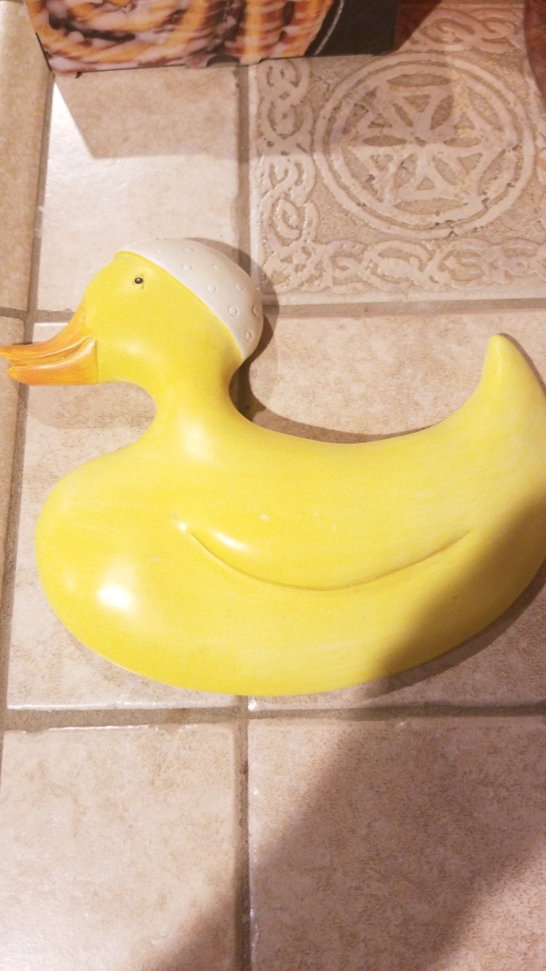 Duck