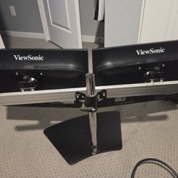 2 Computer Monitors and stand 