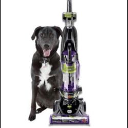 Bissell vacuum