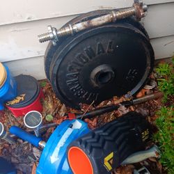 Olympic plates bar and bench.