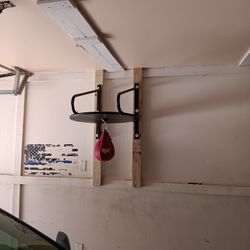 Punching Bag/Speed Bag