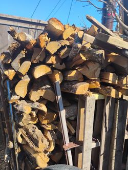 Split Pecan And Red Oaks 