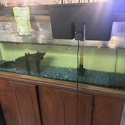 55gal Fish Tank & Stand