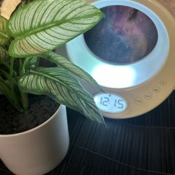 Verilux Rise & Shine Alarm Clock and Sleep System - White Tested and Working