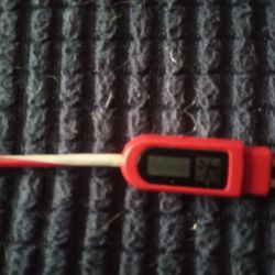 Bose Wired Headphone