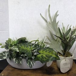 Threshold Artificial Faux Plant in Ceramic Pot both for $14 (Price Is Firm)