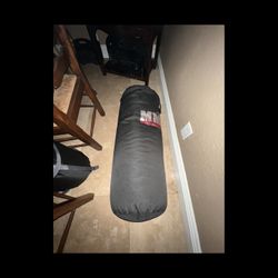 Punching Bag
