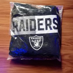 Men's Size Large Hoodie Sweatshirt Official NFL Team Apparel Las Vegas Raiders Football Team