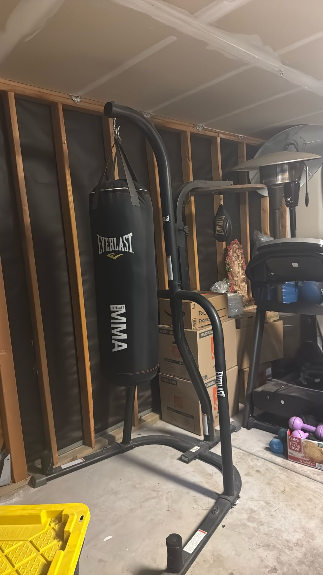 Everlast Punching And Speed Bag