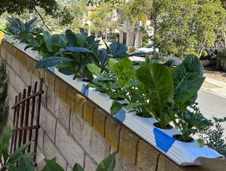 Hydroponic Growing System, Vinyl Downspout 3x4x60