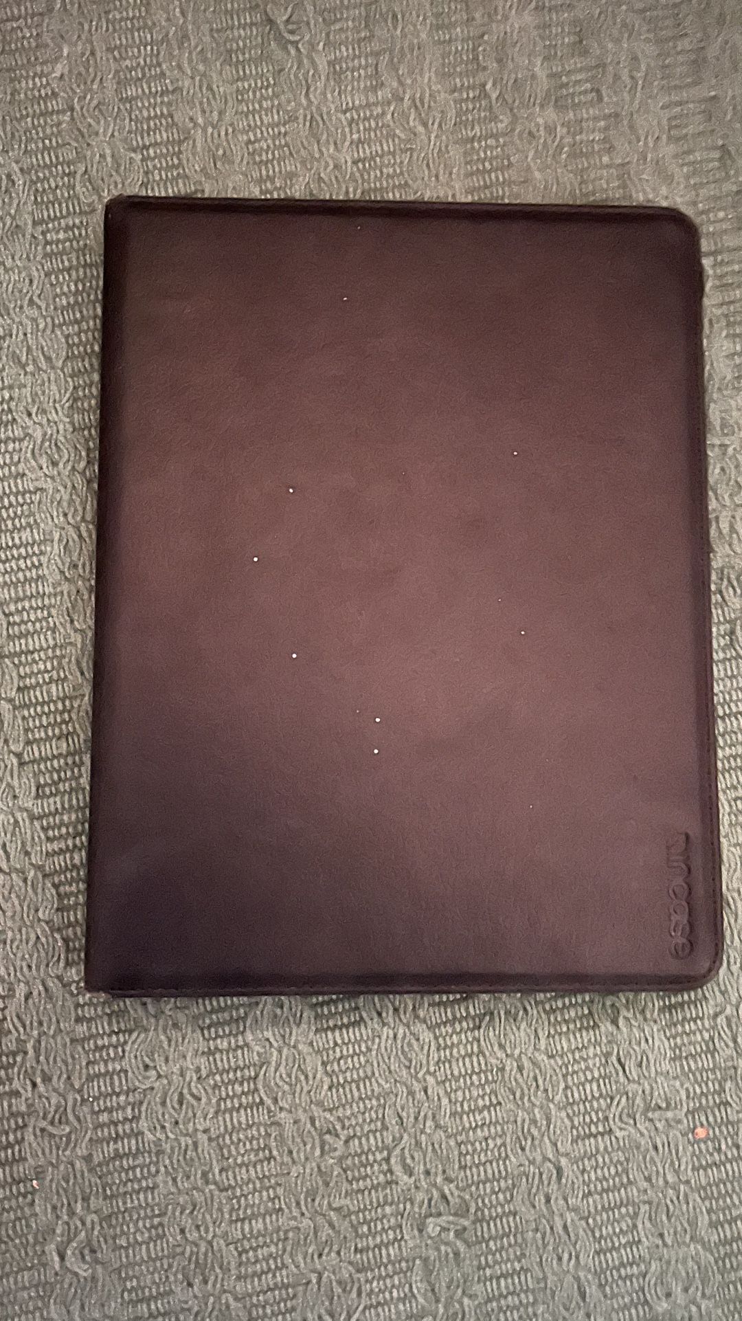 Apple iPad
