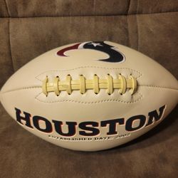Houston Texans Logo Football NFL Full Size Jarden Sports 2018