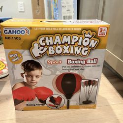 Kids Boxing Ball