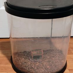 5 Gallon Fish Tank