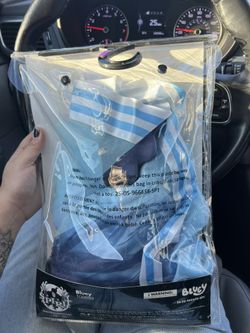 Bluey Costume