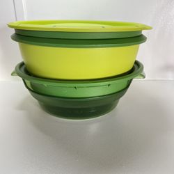 Tupperware Smart Steamer  green color