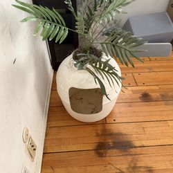 Cat Litter Box 