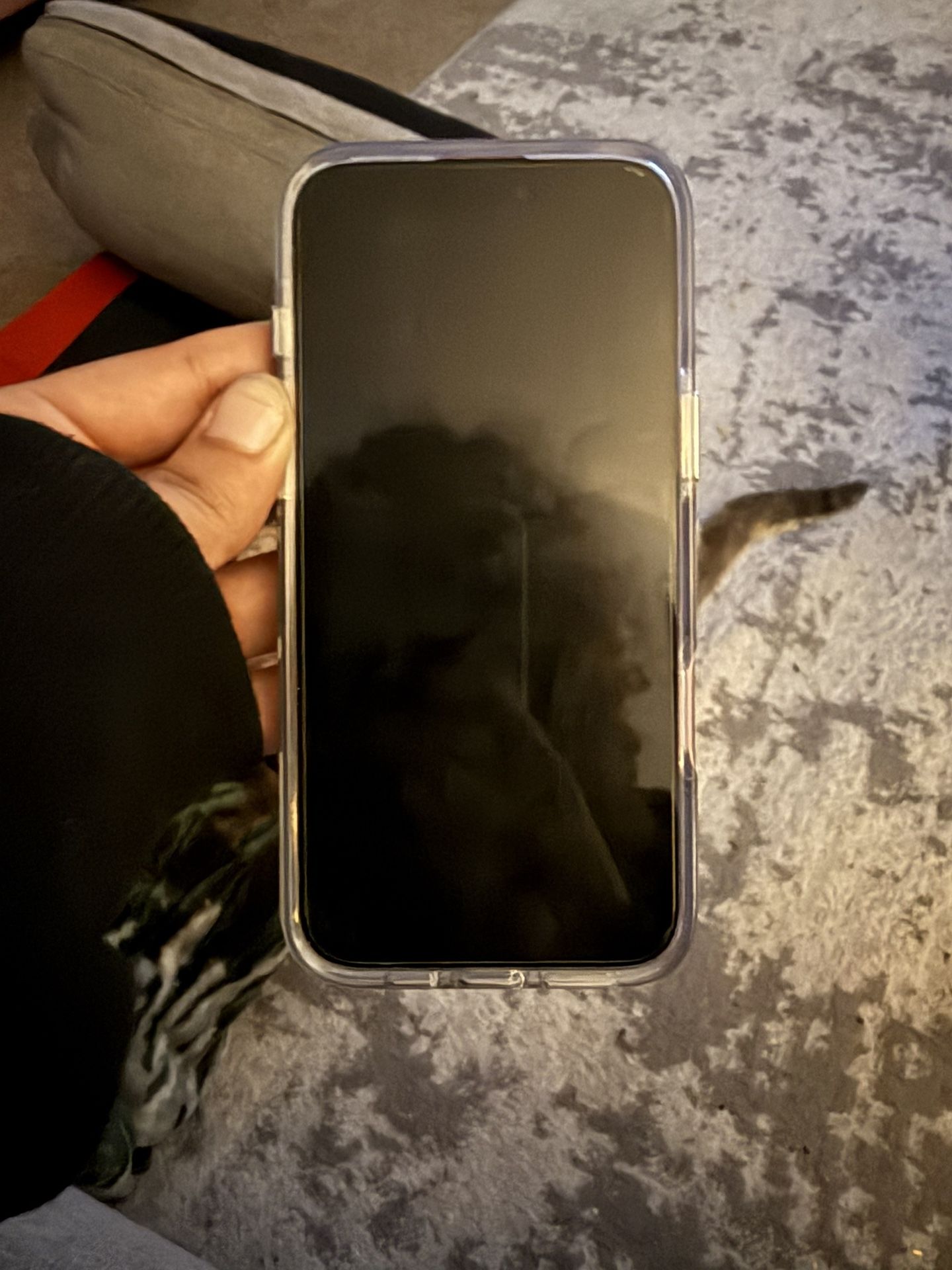 iPhone 16 Plus