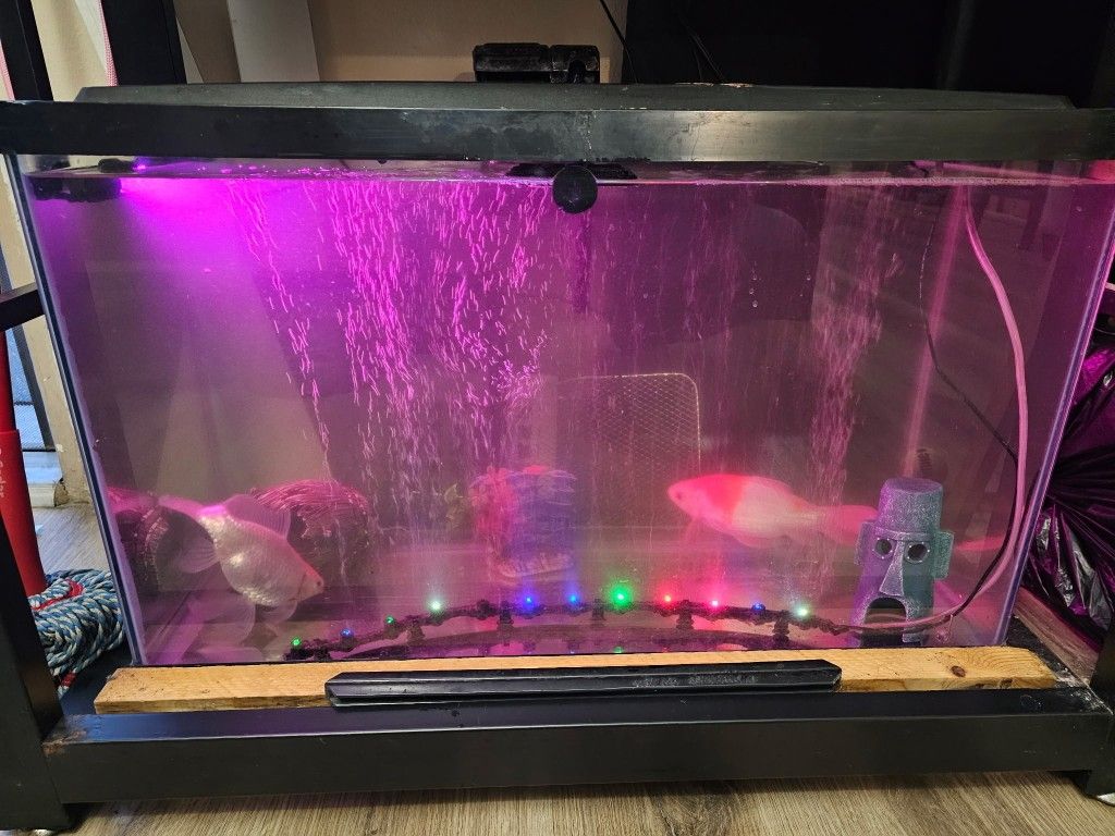 Fish Tank 20 Gallons