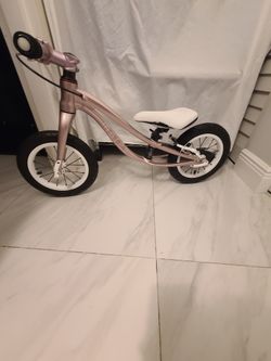 Mores Training Bike For Toddler