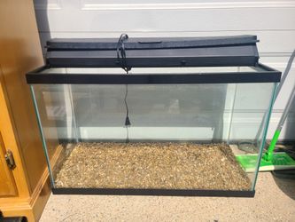 29 Gallon Aquarium w/ Hood and Gravel