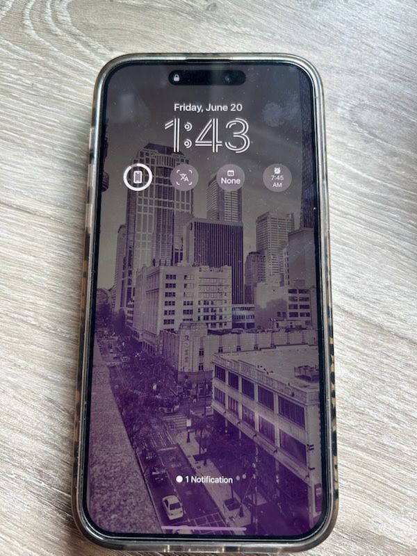 iPhone Pro Max 2014 256 Gig No Sim Restrictions