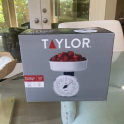 Taylor Mechanical Food Scale 