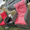 Rochys Furniture