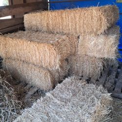 Foliage Hay