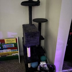 Cat Tree
