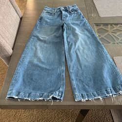 Paige Frankie Covered Button Fly Adrienne Distressed Wide Leg Jean.