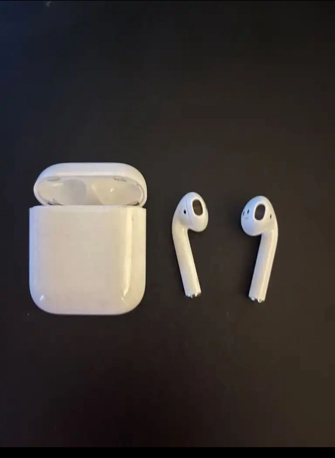 Apple Ear Buds 