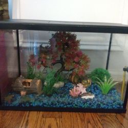 5 Gallon Fish Tank