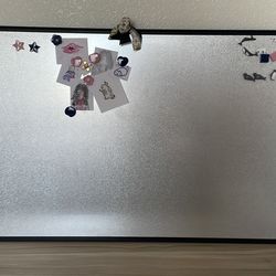 Double-sided Magnetic/Chalk Board